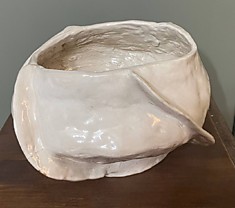 Большая белая
